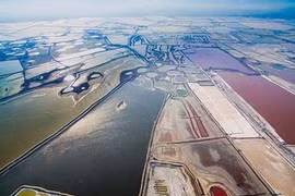 Chẳng ai tin lại có một cánh đồng muối sặc sỡ đến nhường này