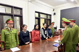 Công ty Dê núi Cherry xuất 'khống' trên 1.000 hóa đơn 