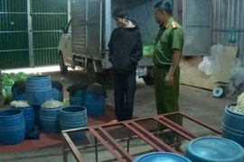 Bao nhiêu kg giá đỗ ngâm hóa chất len lỏi vào Bách Hóa Xanh mỗi ngày?