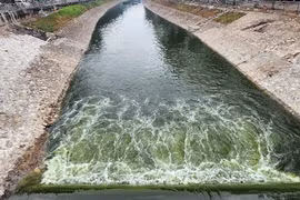 Hà Nội đề xuất Thủ tướng cho làm dự án khản cấp cứu sông Tô Lịch