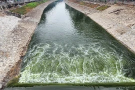 Hà Nội đề xuất Thủ tướng cho làm dự án khản cấp cứu sông Tô Lịch