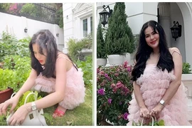 Phương Lê dùng túi hiệu 400 triệu đựng rau 