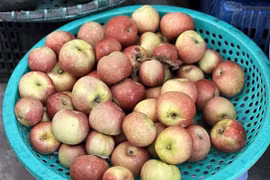 Loại quả ăn mỗi ngày ngừa 8 loại ung thư, tốt cho sức khỏe