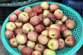 Loại quả ăn mỗi ngày ngừa 8 loại ung thư, tốt cho sức khỏe