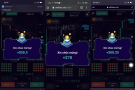 Những chiêu lừa đảo tiền số phổ biến tại Việt Nam