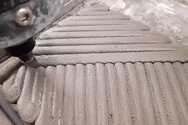 Vỏ tôm hùm giúp người Việt thiết kế bê tông độ bền cao