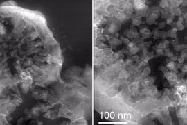 Nuôi cấy vi khuẩn trong “người đẹp đen”, hé mở cuộc sống trên Sao Hoả