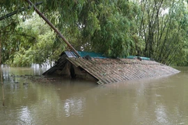 Mưa lớn kéo dài, hàng trăm hộ dân tại Hà Nội ngập sâu trong nước