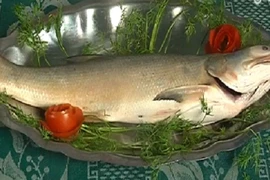 Cách làm cá ngứa hấp dưa chuẩn vị xứ Nghệ