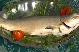 Cách làm cá ngứa hấp dưa chuẩn vị xứ Nghệ