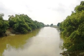 Mực nước sông ở Hà Nội lên mức báo động, sẵn sàng sơ tán dân