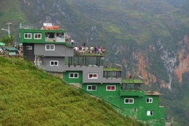 Mã Pì Lèng Panorama bất ngờ được "phủ xanh", dân mạng nói gì?