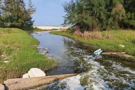 Hàng loạt hồ nuôi tôm ở Quảng Bình xả thải tàn phá môi trường