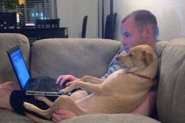 Cún đam mê công nghệ