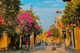 Mê mẩn con đường Hội An lọt top 71 đường đẹp nhất thế giới