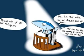 Cáp quang lại đứt, dân mạng đổ lỗi cho... cá mập