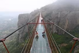 Thót tim đi trên cây cầu bằng kính giữa vách núi đá