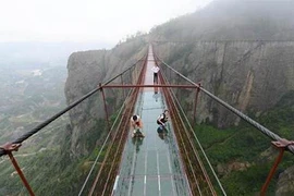 Thót tim đi trên cây cầu bằng kính giữa vách núi đá