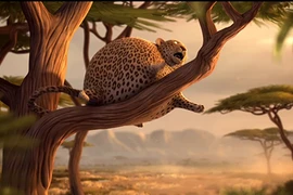 Sở thú Trung Quốc bó tay, không giảm cân nổi cho vật nuôi