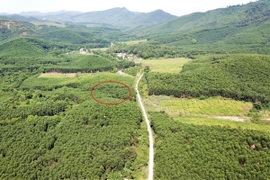 Triệu tập thêm nghi phạm về cái chết bé trai 5 tuổi ở Nghệ An