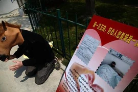 Cảm động cha nguyện làm thân trâu ngựa để cứu con