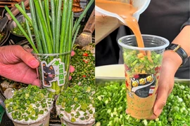 “Ớn lạnh” trước món trà sữa hành lá mới nổi