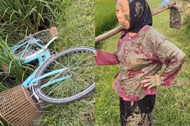 Tin vào tai lái của bạn, cụ bà chỉ biết bất lực than trời