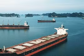 Đắm tàu trên vịnh Bái Tử Long, hai người mất tích