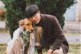 Bị giục lấy vợ, 9X Đà Lạt khéo léo “đánh lảng” khiến CĐM "cười như được mùa"