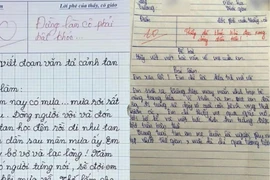  Bài văn chỉ 8 dòng nhưng khiến cô giáo chấm điểm 10