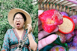 Mùa mận chín: Netizen truyền tay nhau nhìn thôi cũng ứa nước miếng