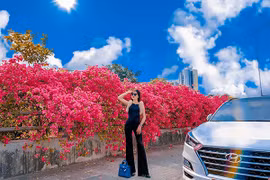 Dân tình đổ xô tới điểm sống ảo "tím lịm tìm sim" tại Hà Nội