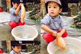 Muôn vàn kiếp nạn thả “xế” tiễn Táo Quân dịp Tết