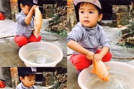 Muôn vàn kiếp nạn thả “xế” tiễn Táo Quân dịp Tết