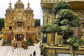 “Đại gia đồng nát” chi tiền tỷ mua cây cho bà con đến ngắm