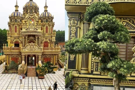 “Đại gia đồng nát” chi tiền tỷ mua cây cho bà con đến ngắm