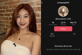 Sau phốt tranh vẽ phản cảm, kênh Tiktok của Louis Phạm “bay màu“