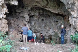 Phát hiện nhiều bộ xương nghi là của người trong hang đá ở Nghệ An