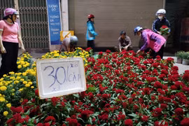 Đồng Nai: Giá hoa Tết giảm mạnh, vẫn vắng người mua