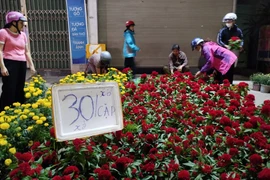 Đồng Nai: Giá hoa Tết giảm mạnh, vẫn vắng người mua