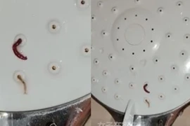 Đang tắm, cô gái co rúm phát hiện điều kinh dị ở vòi sen 