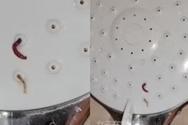 Đang tắm, cô gái co rúm phát hiện điều kinh dị ở vòi sen 