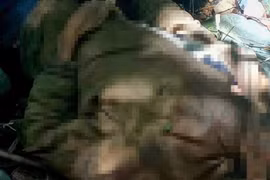 Phát hiện một nam giới tử vong trong rừng ở TP Đà Lạt