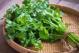 Tại sao rau mùi “cực độc” với đàn ông nếu ăn nhiều?