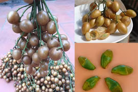 Bác sĩ cảnh báo trẻ vừa ăn vừa cười