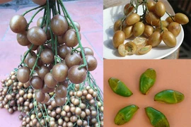 Bác sĩ cảnh báo trẻ vừa ăn vừa cười