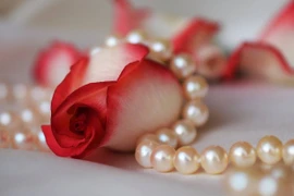 Hàng xóm đột nhiên bật nhạc to và sự thật ghê rợn 