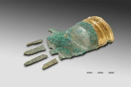 Bí ẩn về bàn tay bằng đồng 3.500 năm tuổi 