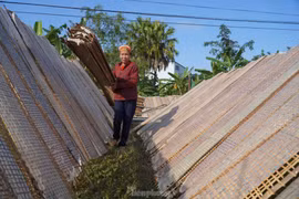 Tất bật ngày đêm làm bánh đa nem vụ Tết, kiếm tiền triệu mỗi ngày