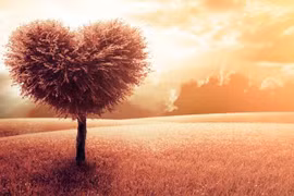 3 sự thật nhiều người không thừa nhận, nhưng vượt qua sẽ hạnh phúc